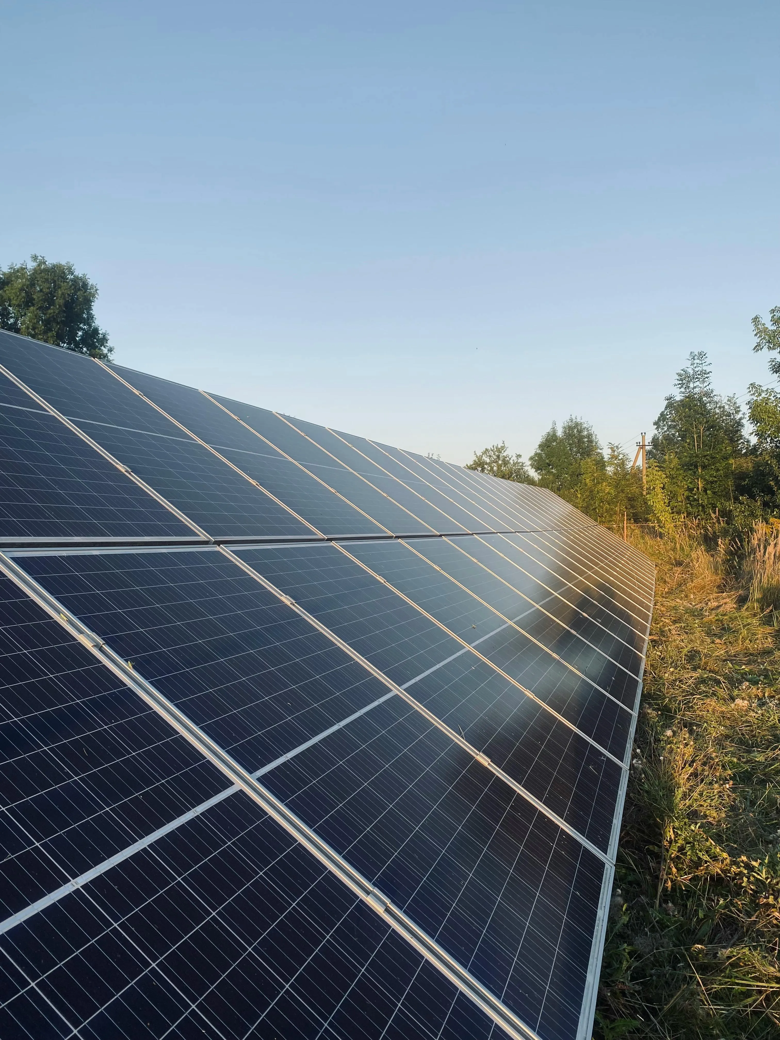 Paneles solares
